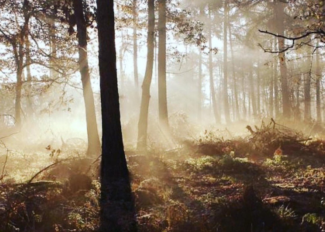 50695489 1980041095632760 4929406151134543872 o 1 