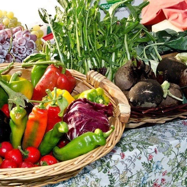 Farm shops and pick-your-own gardens